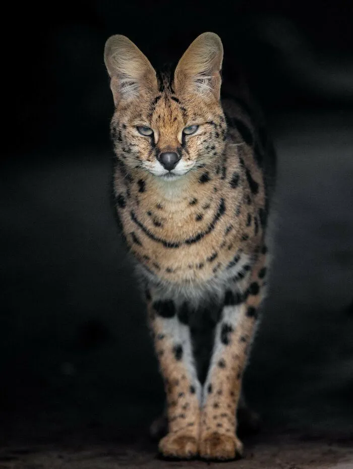 40 Stunning Moments From Nature I Captured Without Expensive Equipment