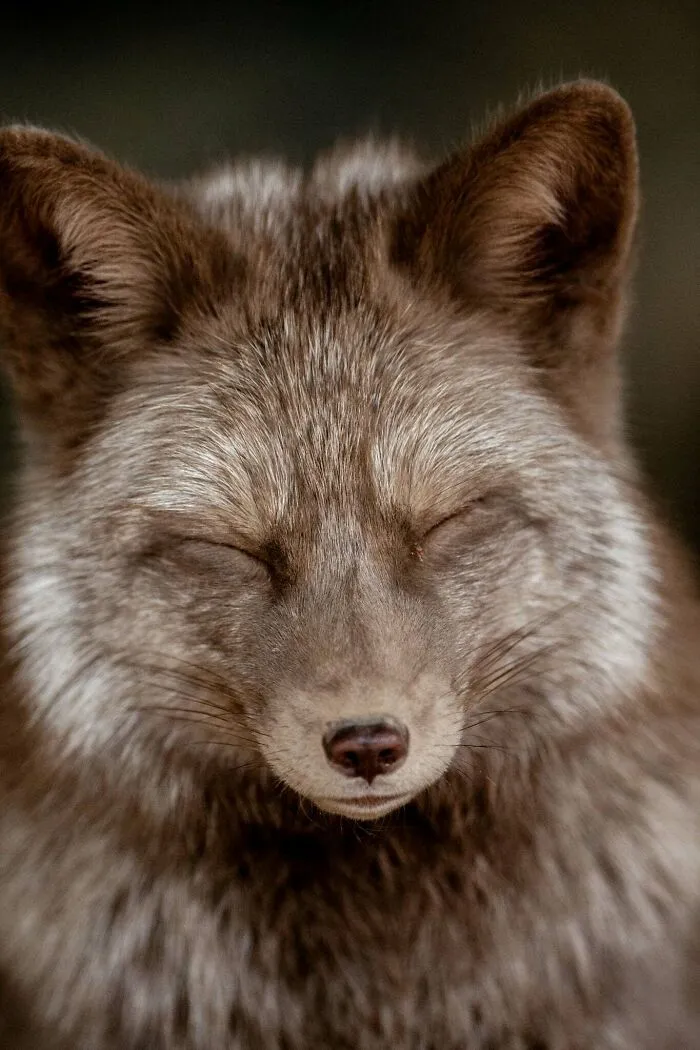 40 Stunning Moments From Nature I Captured Without Expensive Equipment