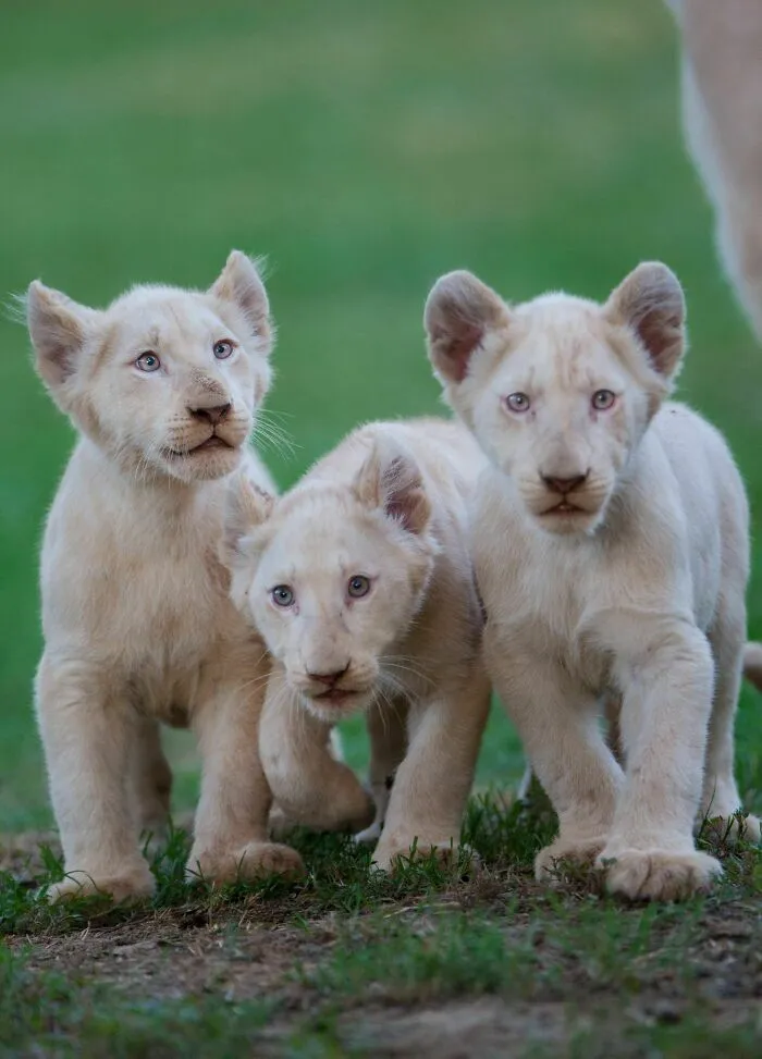 40 Stunning Moments From Nature I Captured Without Expensive Equipment