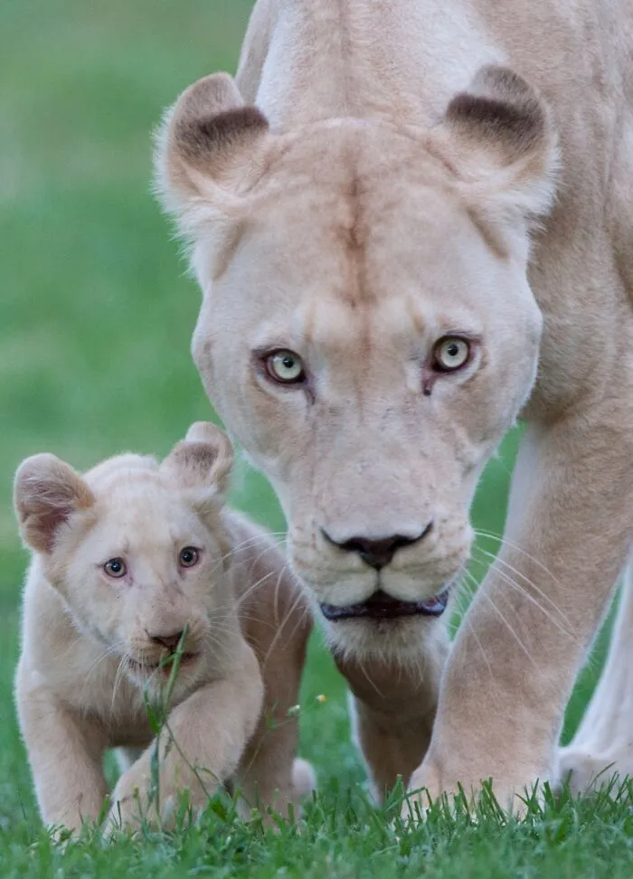 40 Stunning Moments From Nature I Captured Without Expensive Equipment
