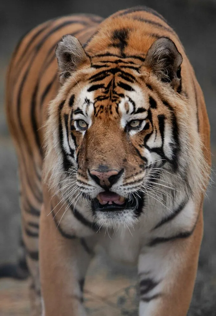 40 Stunning Moments From Nature I Captured Without Expensive Equipment
