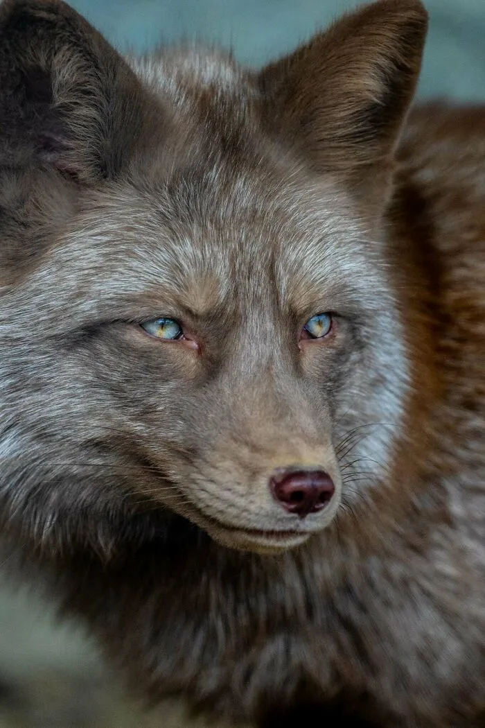 40 Stunning Moments From Nature I Captured Without Expensive Equipment