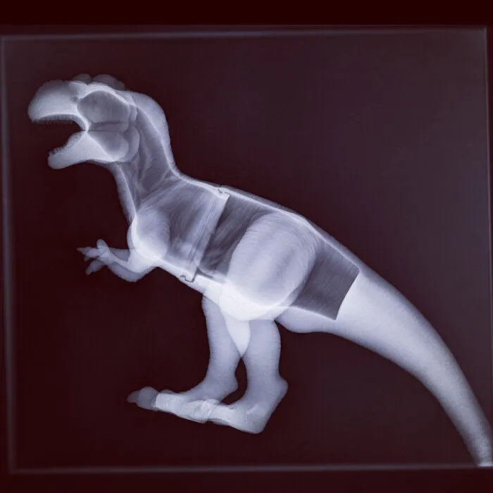 My Wife Took Our Cat To The Vets, & My Son Told The Vet His Toy Dinosaur Was Feeling Poorly, So The Vet Gave It An X-Ray