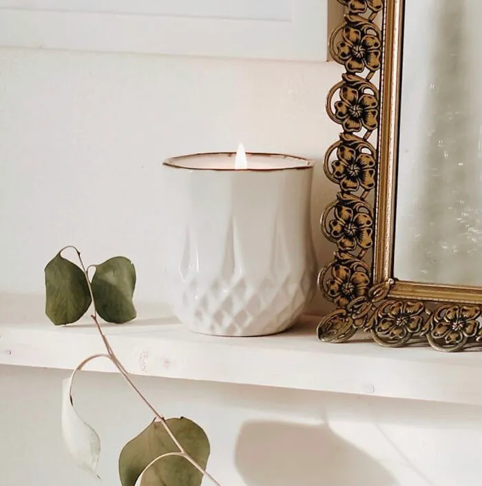This <a Style="Display:inline;" Href="​​https://Www.amazon.com/Hyggelight-Growing-Candle-Wildflower-Sandalwood/Dp/B07d477m1f?ie=utf8&th=1&linkcode=ll1&tag=bpwolf-20&linkid=3163e52136068dc4332b9e922630edab&language=en_us&ref_=as_li_ss_tl" Target="_blank">   <span Style="Font: Inherit; Color: #d74b1f;"> Non-Toxic Scented Candle</Span> Doubles As A Planter Once You Have Finished Its Aromatic Spoils