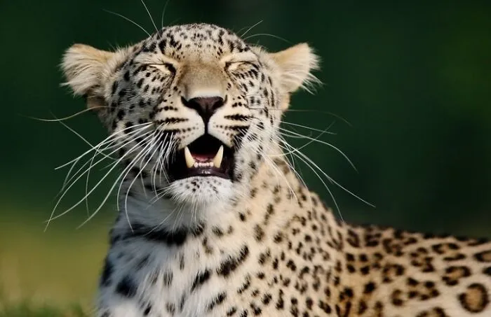 40 Stunning Moments From Nature I Captured Without Expensive Equipment