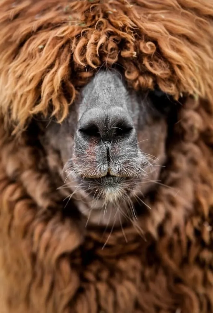 40 Stunning Moments From Nature I Captured Without Expensive Equipment