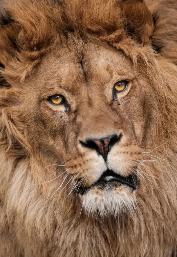 40 Stunning Moments From Nature I Captured Without Expensive Equipment