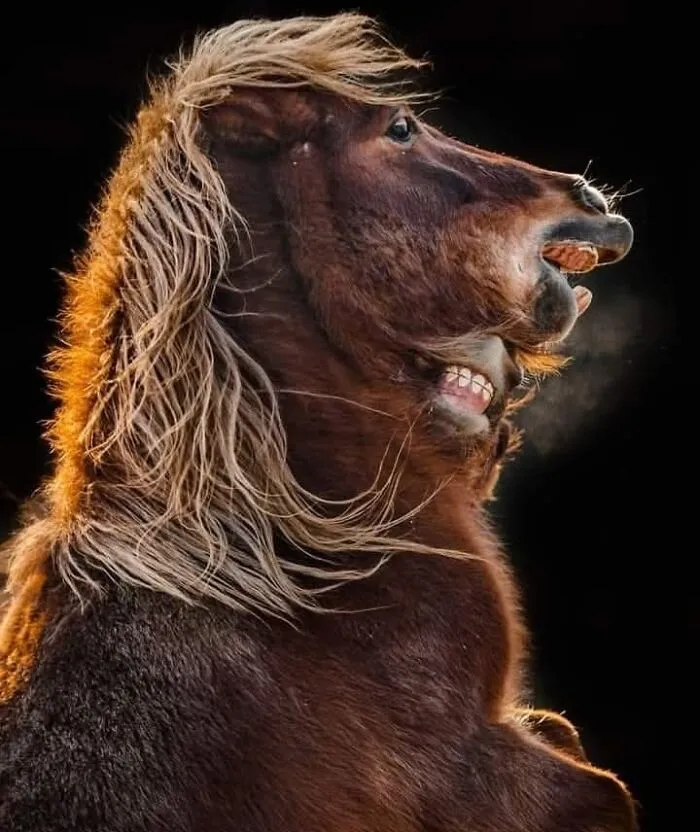 40 Stunning Moments From Nature I Captured Without Expensive Equipment