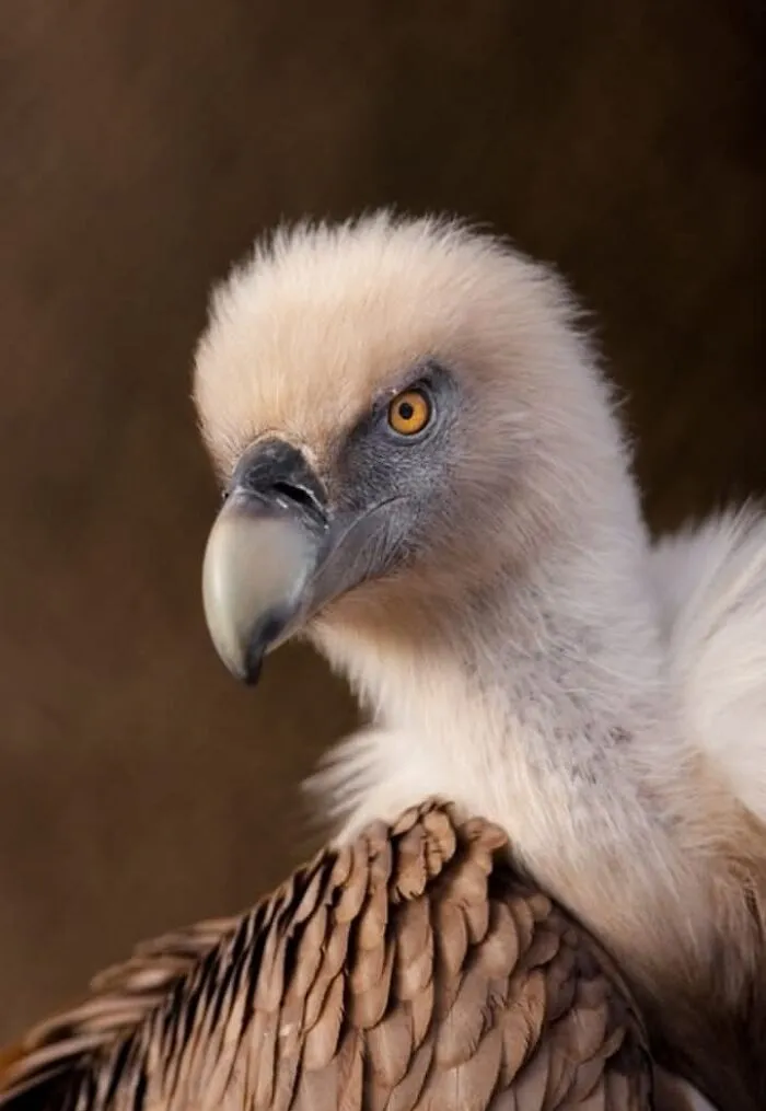40 Stunning Moments From Nature I Captured Without Expensive Equipment