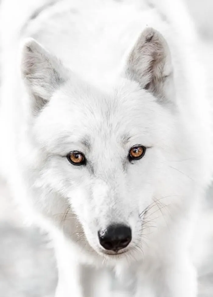 40 Stunning Moments From Nature I Captured Without Expensive Equipment