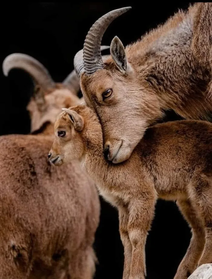 40 Stunning Moments From Nature I Captured Without Expensive Equipment