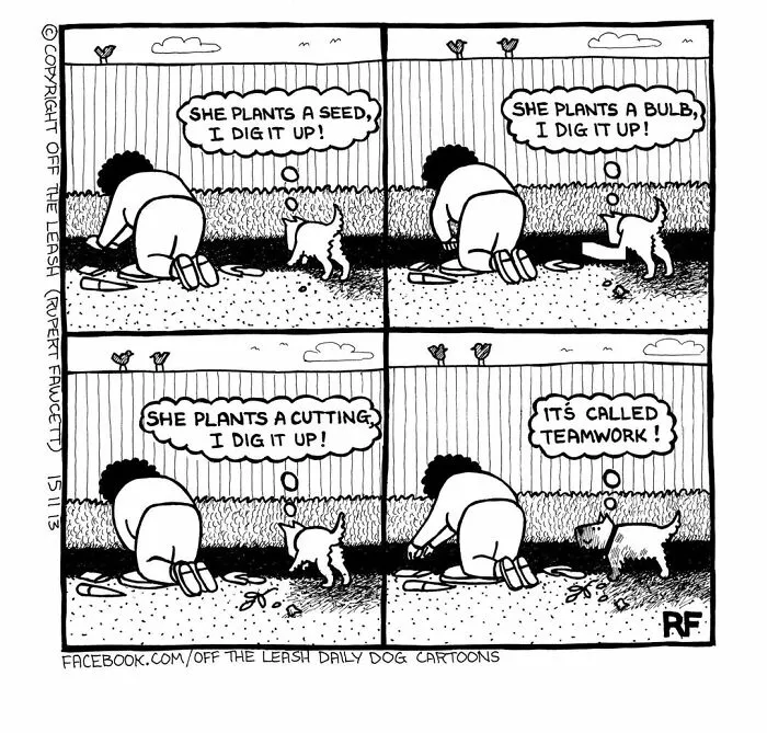 Black and white comic showing a dog digging up plants while a person gardens, illustrating life living with dogs humor.