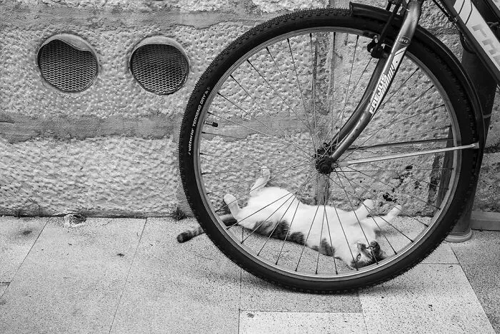 The Marvels Of Daily Life Captured In 45 New Stunning Photos By Mary Crnkovic Pilas