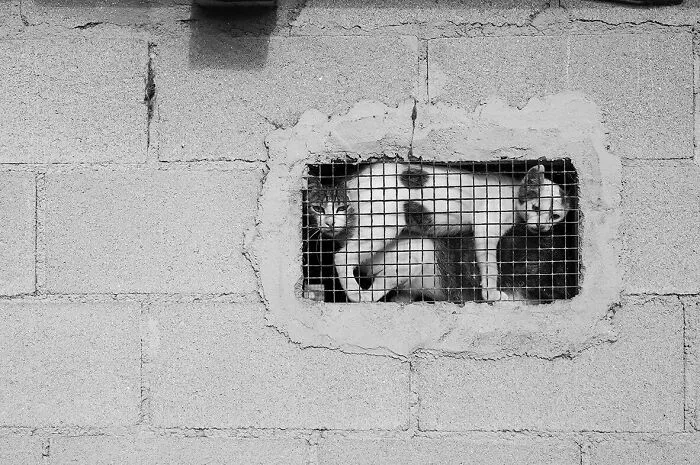 The Marvels Of Daily Life Captured In 45 New Stunning Photos By Mary Crnkovic Pilas