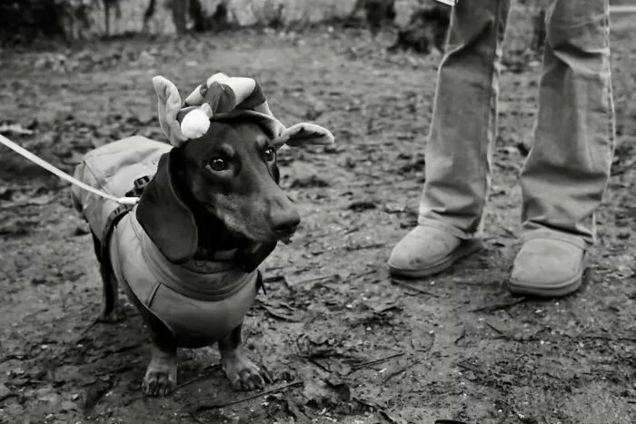The Marvels Of Daily Life Captured In 45 New Stunning Photos By Mary Crnkovic Pilas