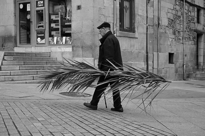 The Marvels Of Daily Life Captured In 45 New Stunning Photos By Mary Crnkovic Pilas
