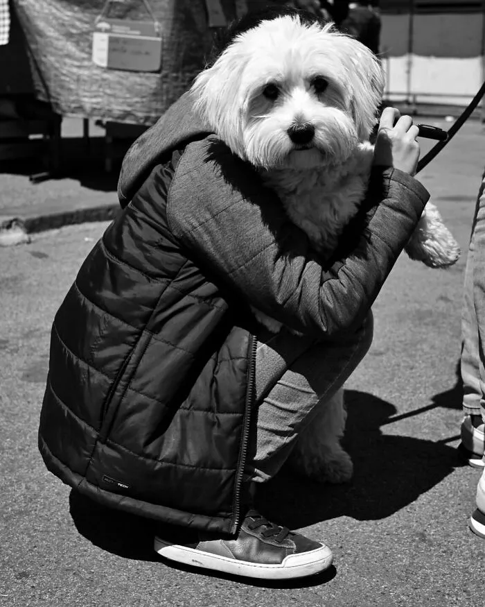 The Marvels Of Daily Life Captured In 45 New Stunning Photos By Mary Crnkovic Pilas