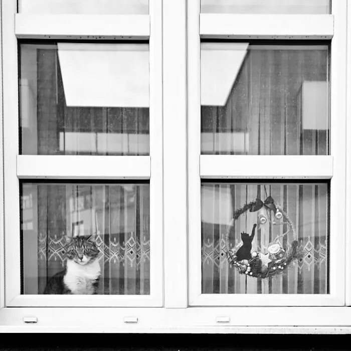 The Marvels Of Daily Life Captured In 45 New Stunning Photos By Mary Crnkovic Pilas
