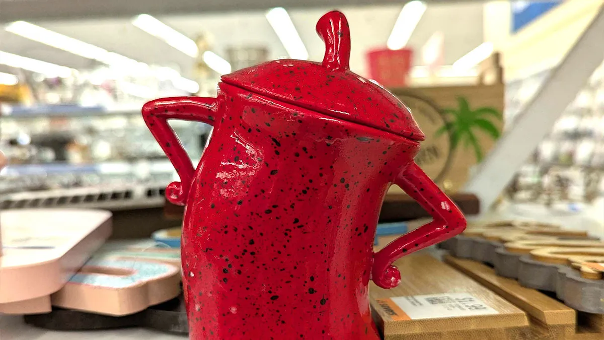 50 Secondhand Store Finds That Deserve A Standing Ovation