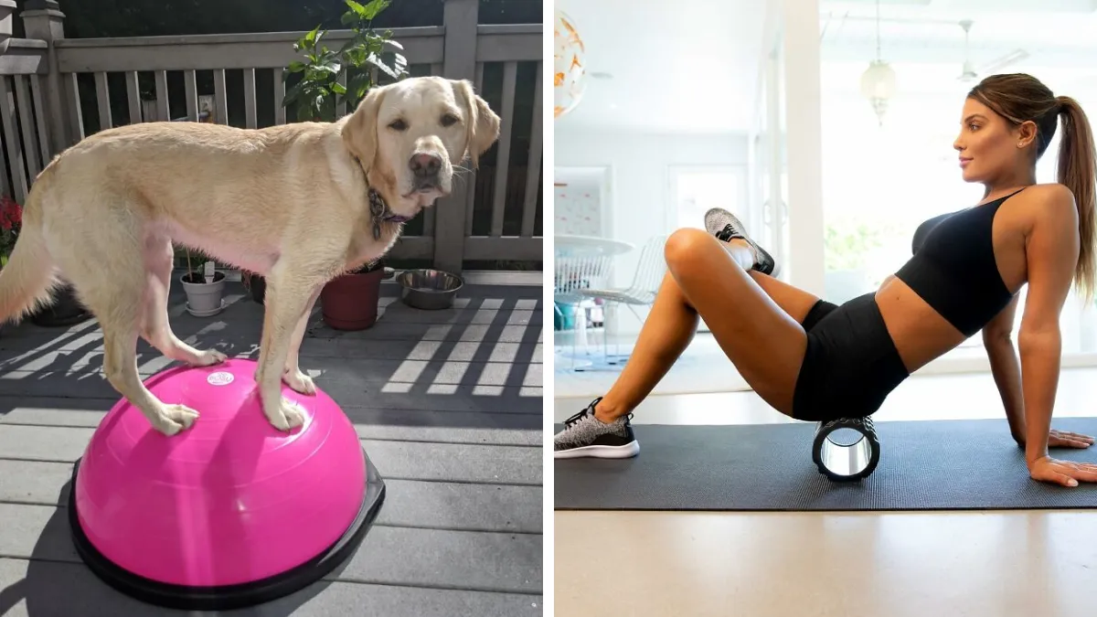 16 Apartment Friendly Ways To Smash Your Fitness Goals In 2026