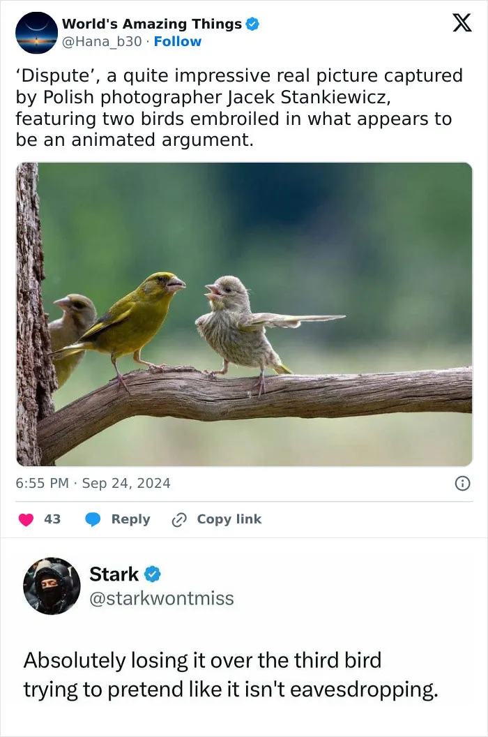 A Look Back At 2025 Through 91 Of The Funniest And Most Heartwarming Animal Memes