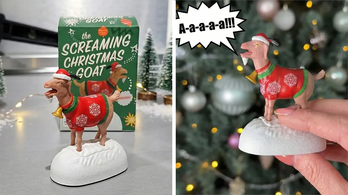 19 Gifts That Will Make Your Funniest Friend Look At You And Say, "You Are So Weird, I Love It"