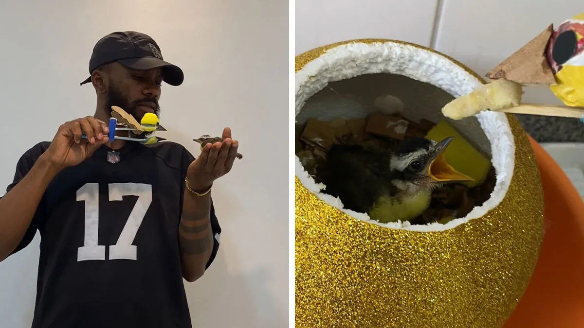 Man Becomes Bird Dad Overnight After Crafting A DIY “Mother” For A Lost Chick