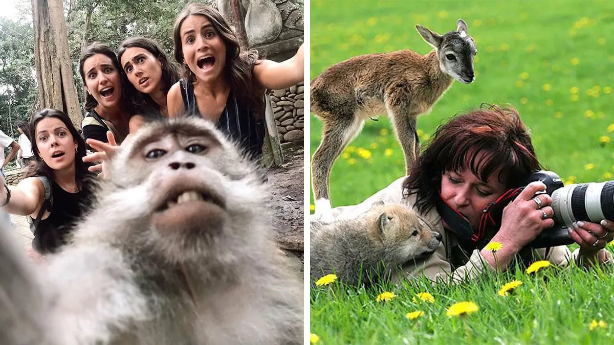 30 fotos tiernas y divertidas de animales que pueden alegrarte el día en un instante