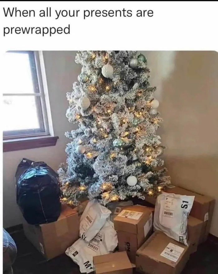50 Tree-Mendously Funny Christmas Memes That Perfectly Capture The Vibe Of The Jolly Season