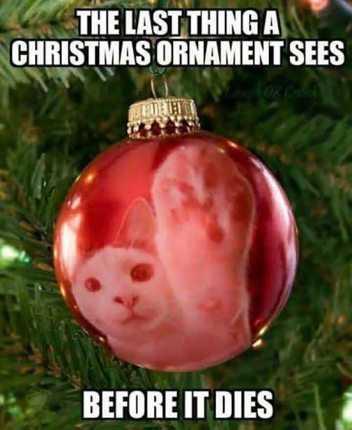 50 Tree-Mendously Funny Christmas Memes That Perfectly Capture The Vibe Of The Jolly Season