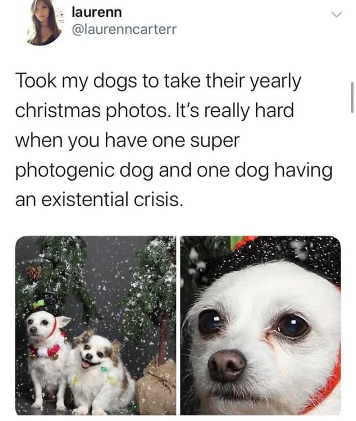 50 Tree-Mendously Funny Christmas Memes That Perfectly Capture The Vibe Of The Jolly Season