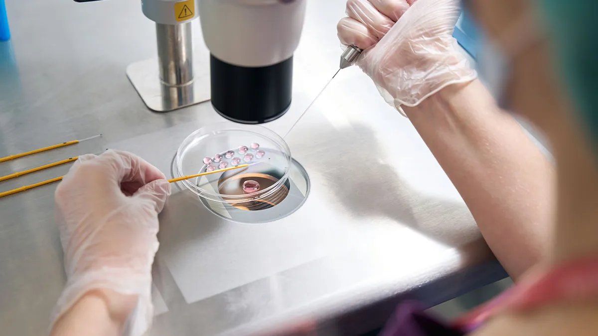 Couple Offers Embryos To Friends In Need, Calls It Off After Their Real Intentions Come To Light