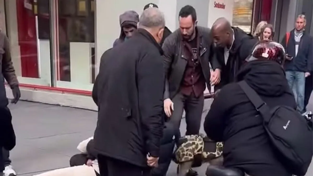 Pit Bull Attacks Toddler On Packed Manhattan Street, Refuses To Release Grip