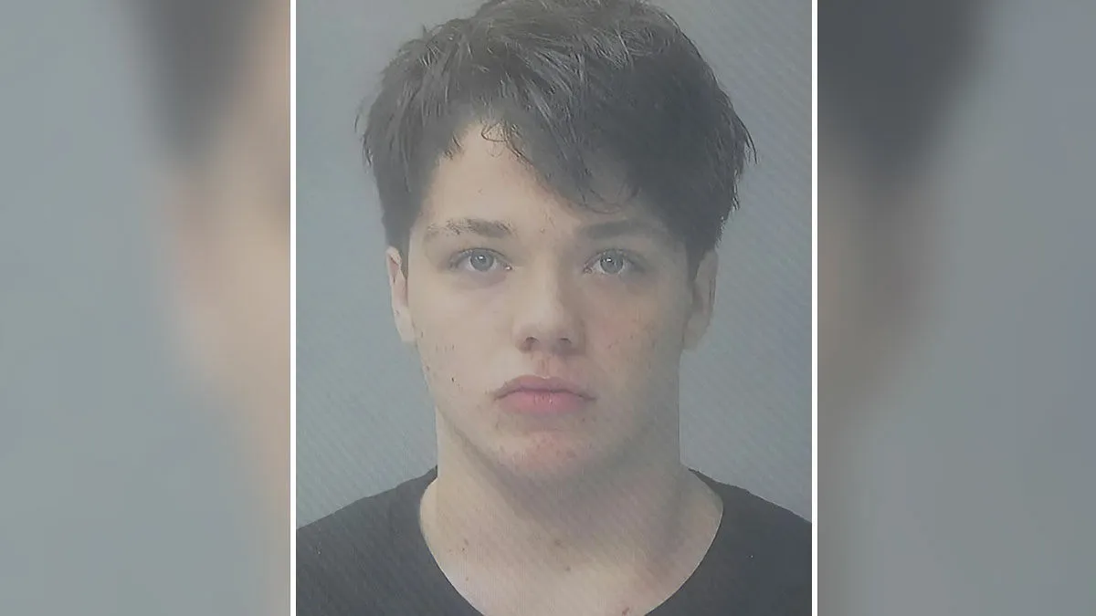 "Revenge For Getting Their Feelings Hurt": Cops Reveal What Led Teen Boys To Set 14YO Girl On Fire