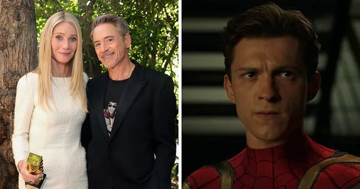 Did Gwyneth Paltrow Throw Major Shade At Tom Holland? His Fans Certainly Think So After Robert Downey Jr.'s Speech