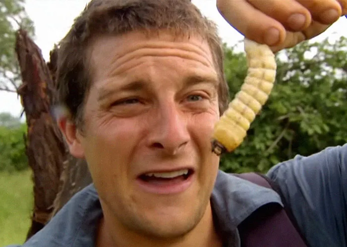 "Terrible Advice": People Urge Others To Stop Believing In These 40 Dangerous Survival Myths
