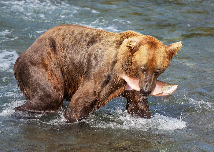 "Terrible Advice": People Urge Others To Stop Believing In These 40 Dangerous Survival Myths