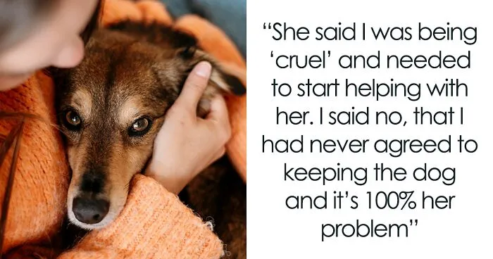 Man Warns Wife That He Won't Help With Street Dog, Starts A Fight As He Sticks To His Word