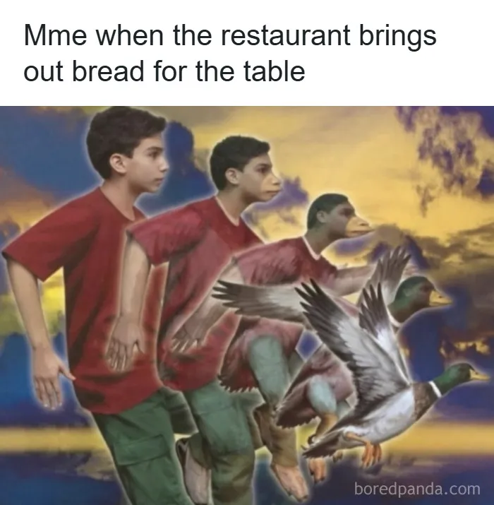 Boy morphing into a duck in stages at sunset, illustrating a funny unhinged meme from grapejuiceboys.