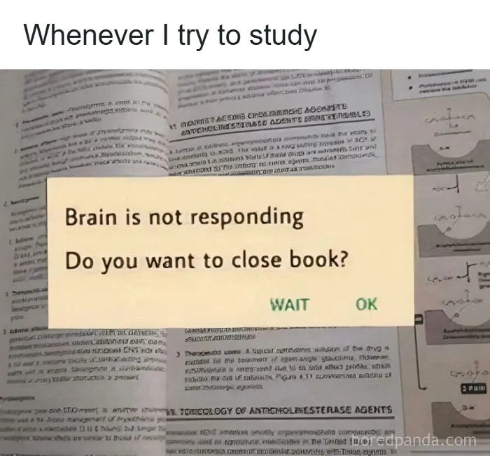 50 Hilariously Relatable College Memes That Might Make You Laugh, Then Cry