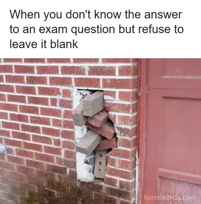 50 Hilariously Relatable College Memes That Might Make You Laugh, Then Cry