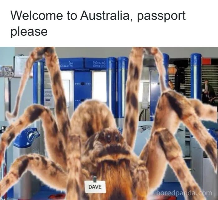 50 Memes So Absurd They’re Borderline Performance Art