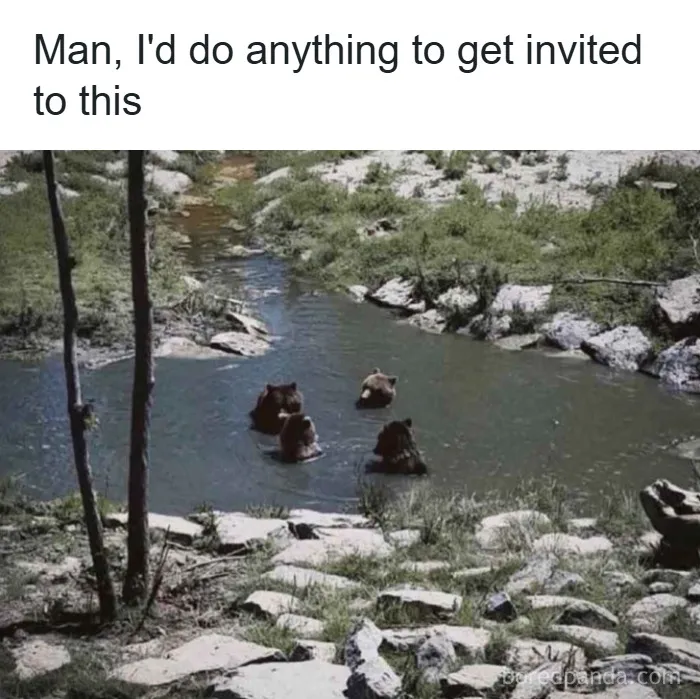 50 Memes So Absurd They’re Borderline Performance Art