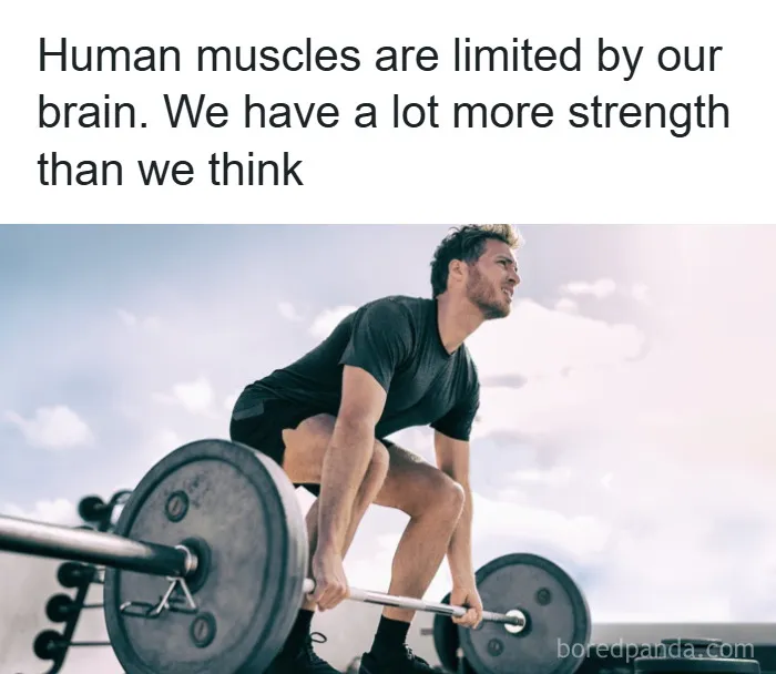 Psychology fact about human muscles limited by brain strength, showing man lifting heavy barbell outdoors.
