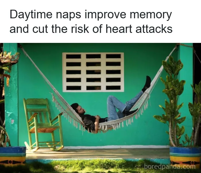 Man resting in a hammock on a porch with plants, illustrating fun and fascinating psychology facts about naps and memory.
