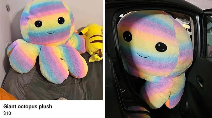 Peluches gigantes de pulpo con expectativas versus realidad que sorprenden a las personas en fotos nuevas.