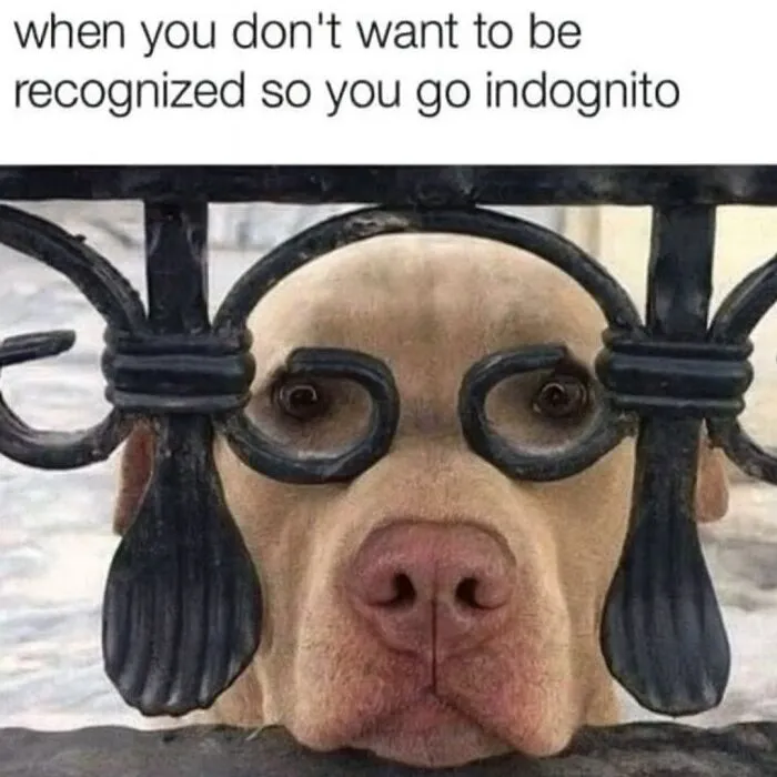 People Are Loving This FB Account That Shares Animal Memes And Here Are 50 Of The Best