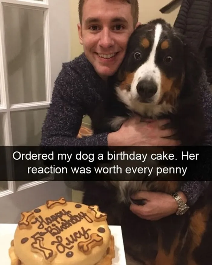 People Are Loving This FB Account That Shares Animal Memes And Here Are 50 Of The Best