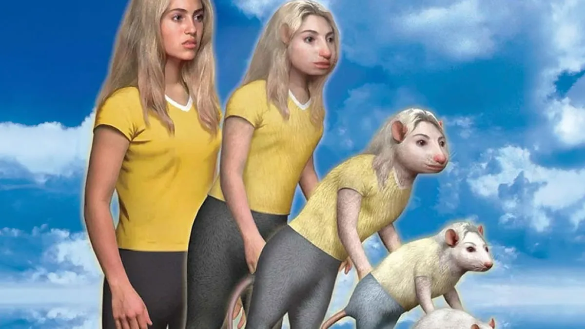 Estos 15 memes son tan absurdos que casi parecen arte