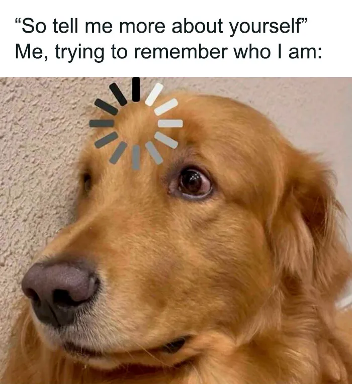 Golden retriever dog with a loading icon on its head, humorously depicting confusion in adorable dog memes.
